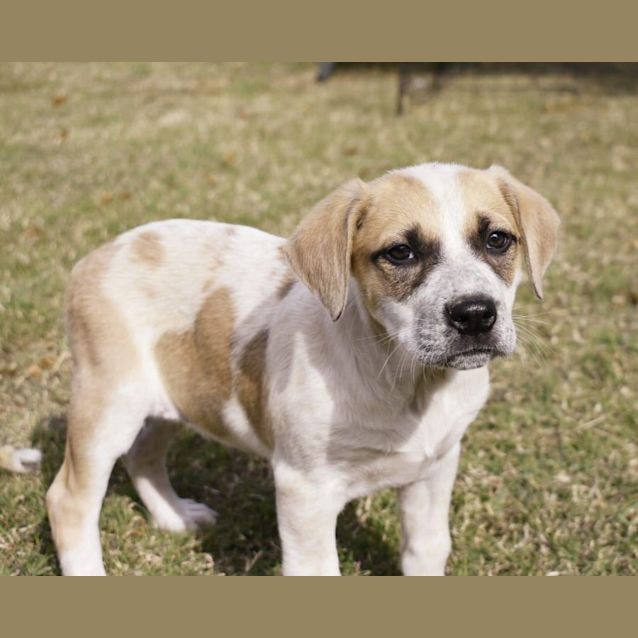 Photo of Suki