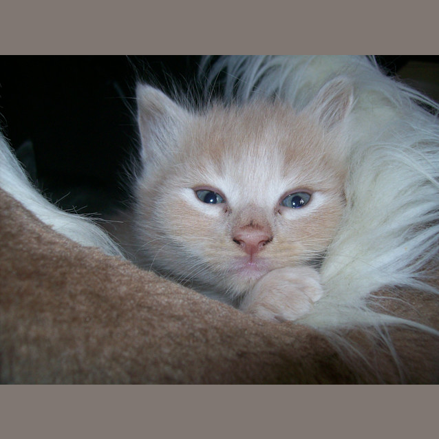 Photo of Tristan