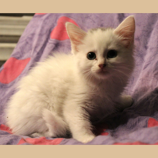 Photo of Sally