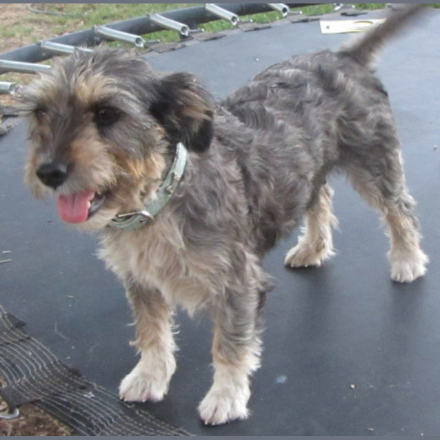 Photo of On Trial   Meeka