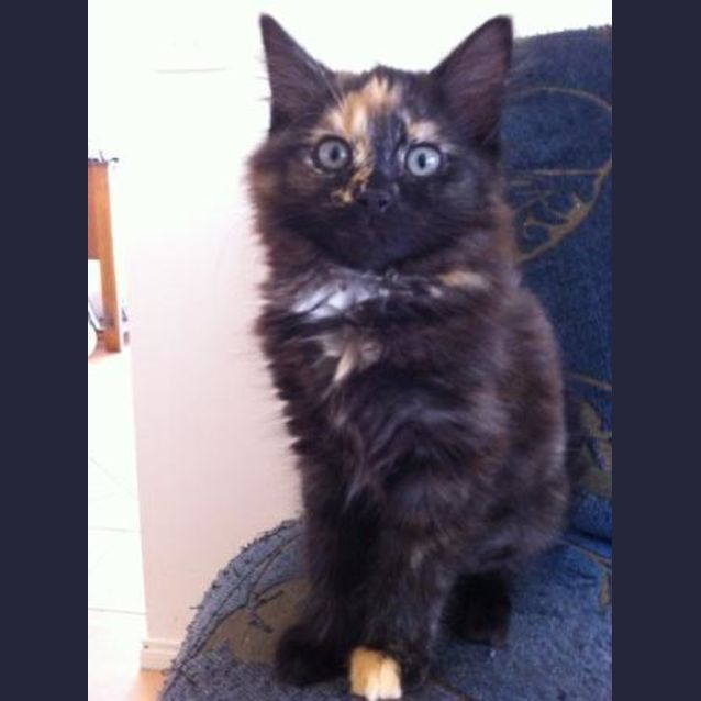 Photo of Gabriella