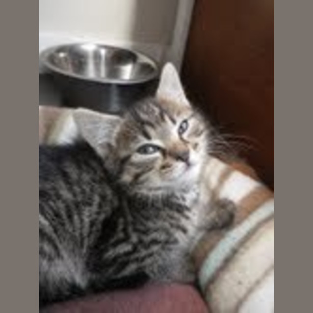 Photo of Lilly