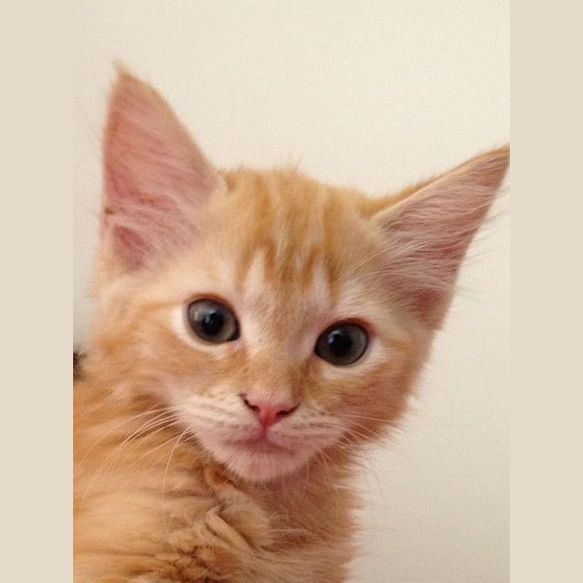 Photo of Ben