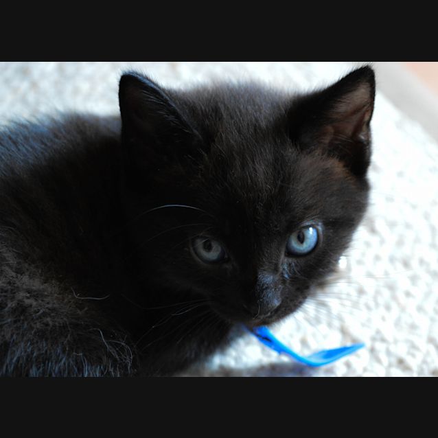 Photo of Barnaby