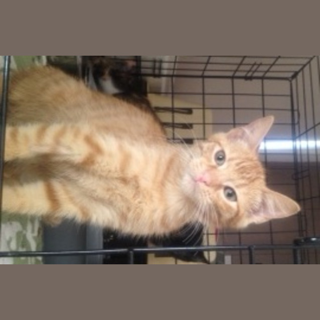 Photo of Marlo