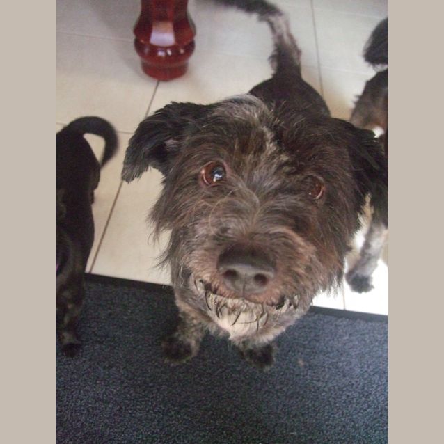 Photo of Super Sweet Sally