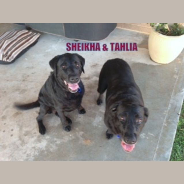 Photo of Sheikha & Tahlia (On Trial In A New Home 11/1/13)