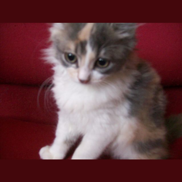 Photo of Suzi