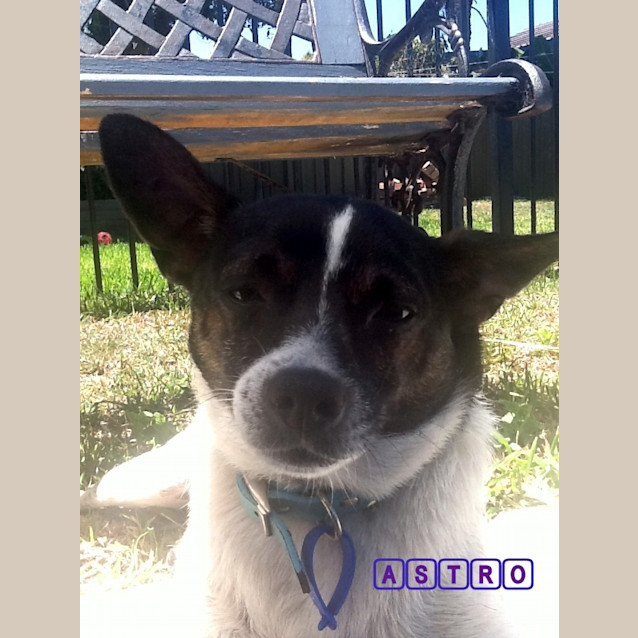 Photo of Astro (On Trial 13/1/13)