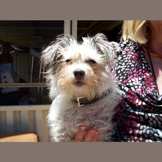 Photo of Misty