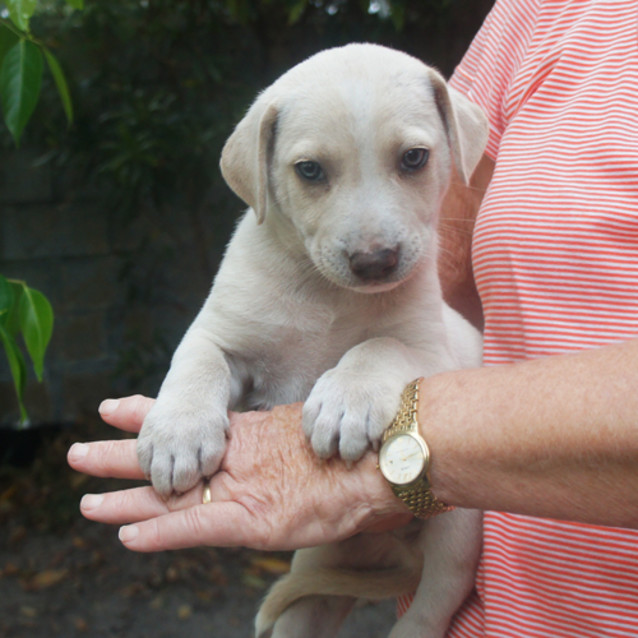 Photo of Sandy