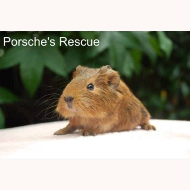 Photo of Baby Xavier