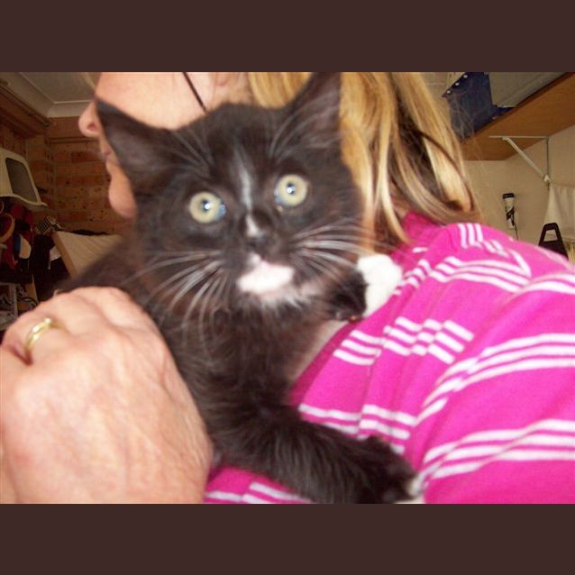 Photo of Sox