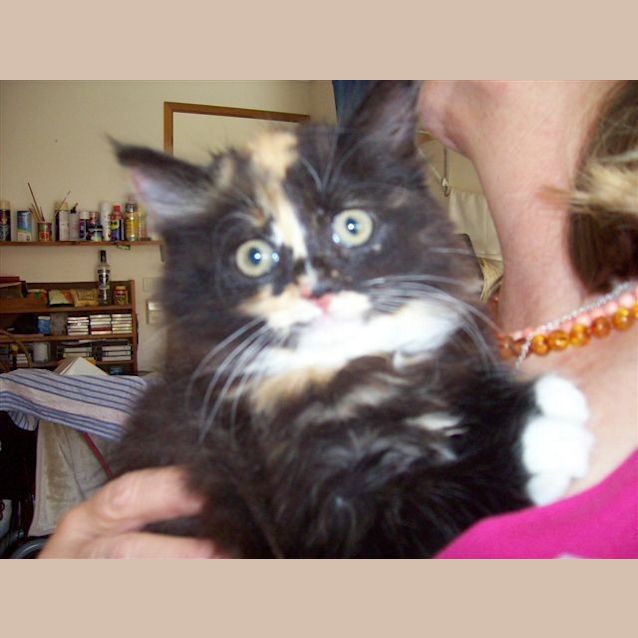 Photo of Cassi