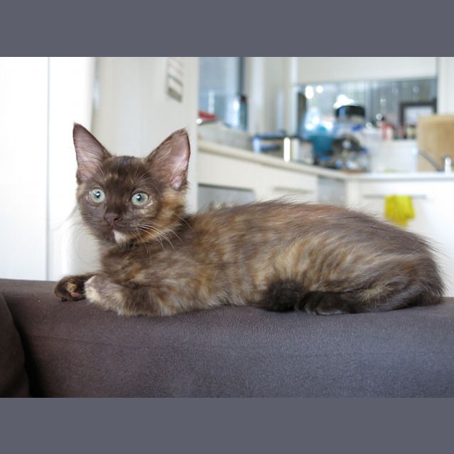 Photo of Tullulah