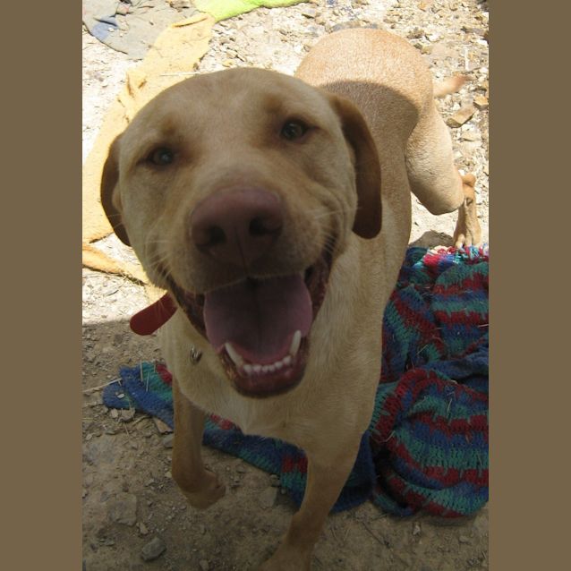 Photo of Gordy