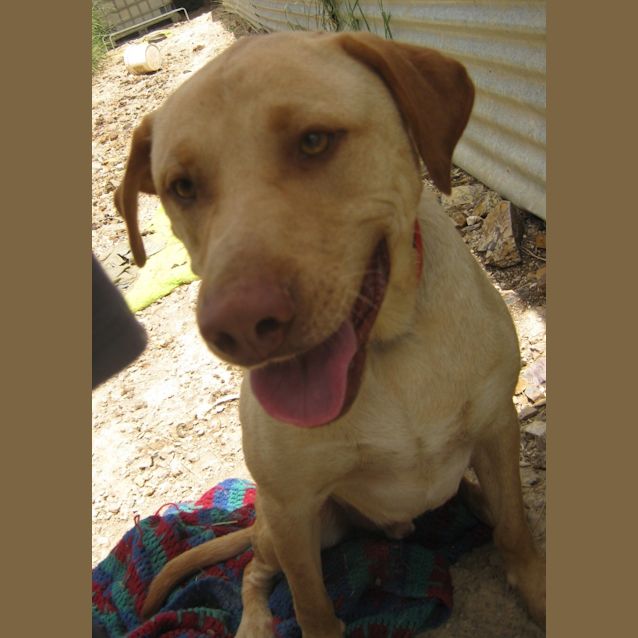 Photo of Gordy