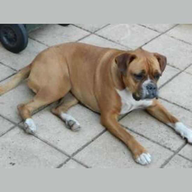 Photo of Roxy