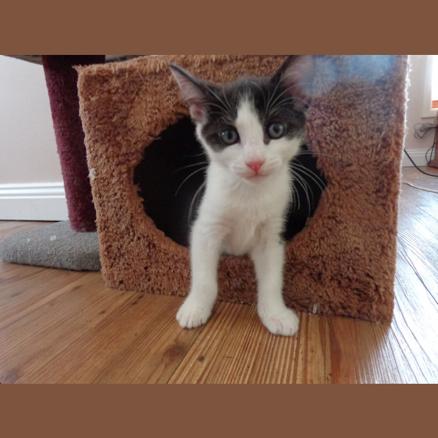 Photo of Molly