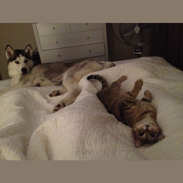 Photo of Lucy The Smooch!