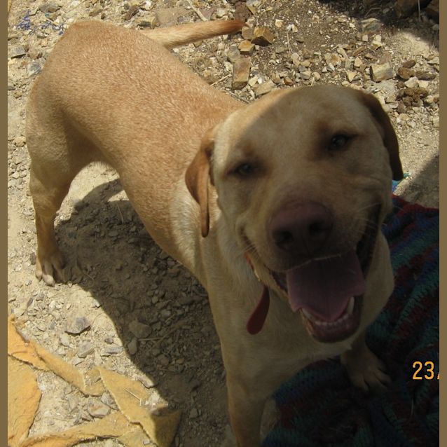 Photo of Gordy