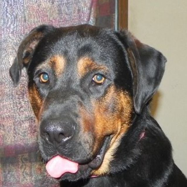 Photo of Ivan