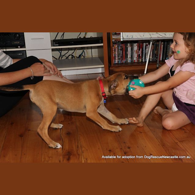 Photo of Frisky (On Trial 24/1/13)