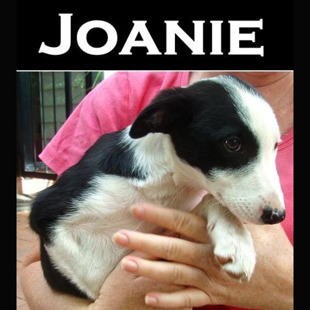 Photo of Joanie