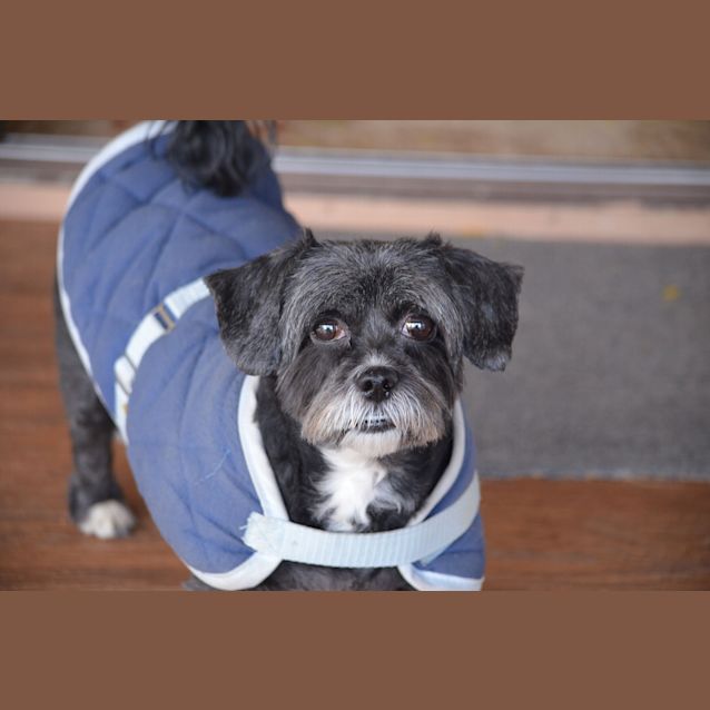 Photo of Sooty