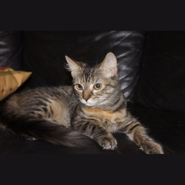 Photo of Noelle