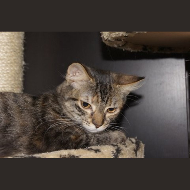Photo of Noelle