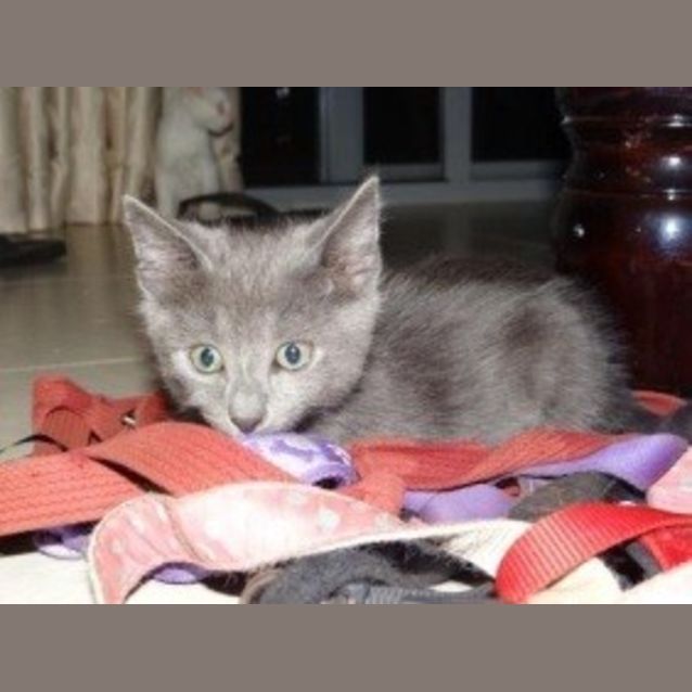 Photo of Sebastian