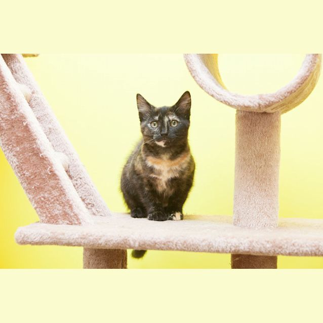 Photo of Samantha