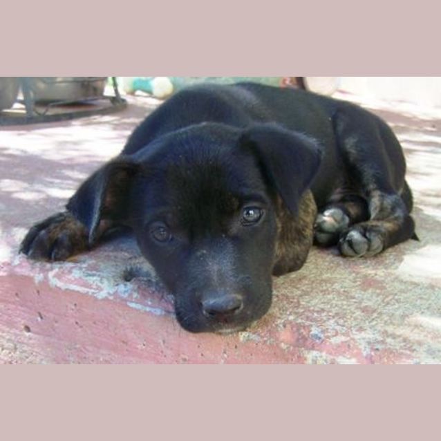 Photo of Turbo