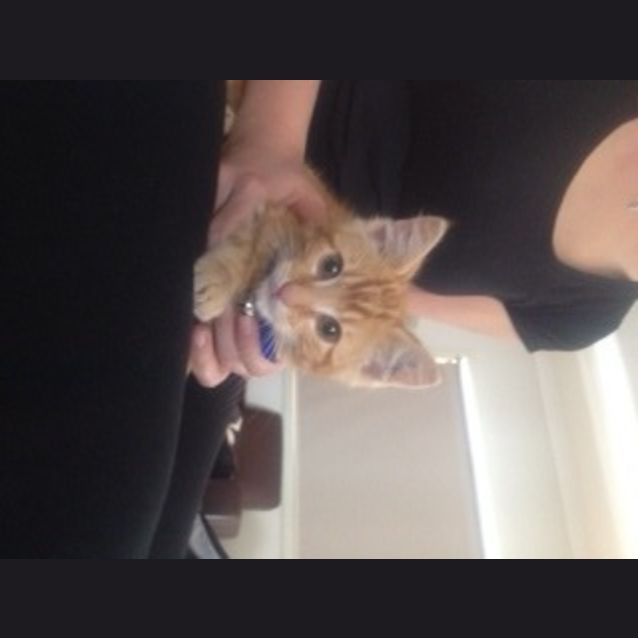 Photo of Chester