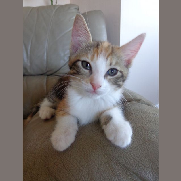 Photo of Flo