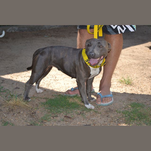 Photo of Misty