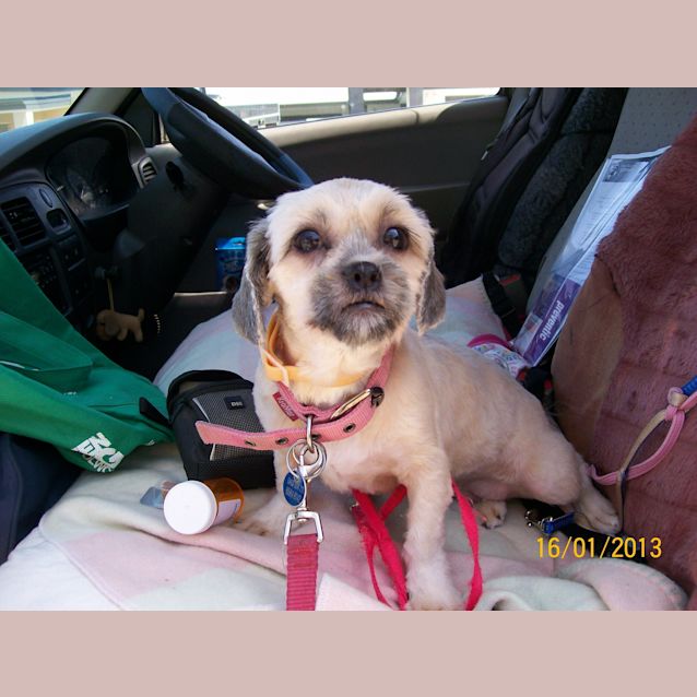 Photo of Chloe