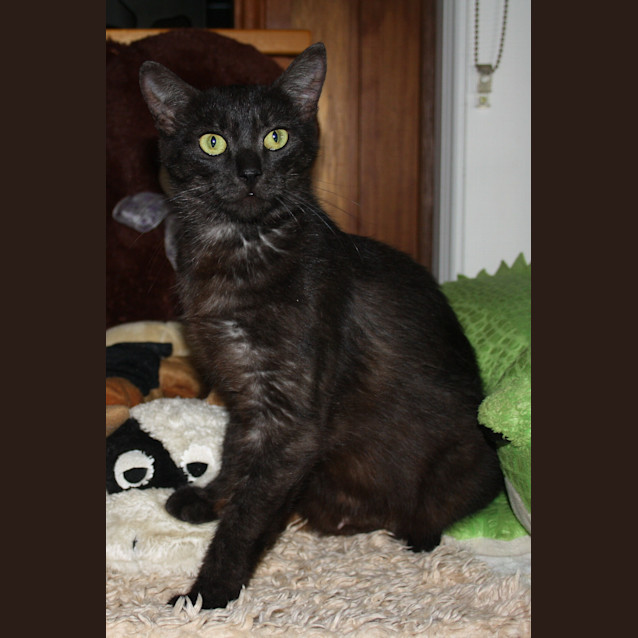 Photo of Mumma Holly