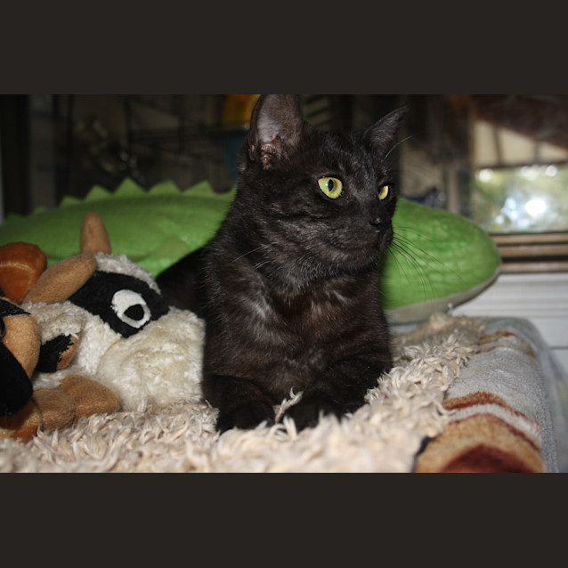 Photo of Mumma Holly