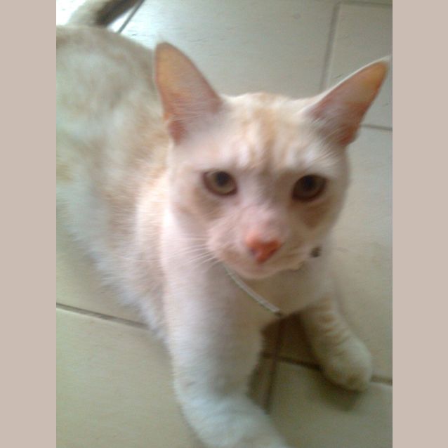 Photo of Morty