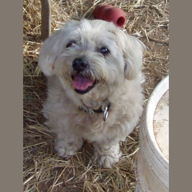 Photo of Miss Molly