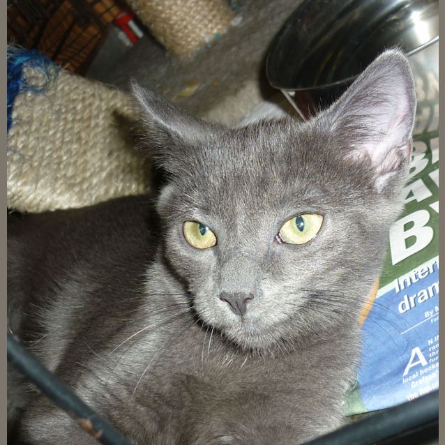 Photo of Keitha