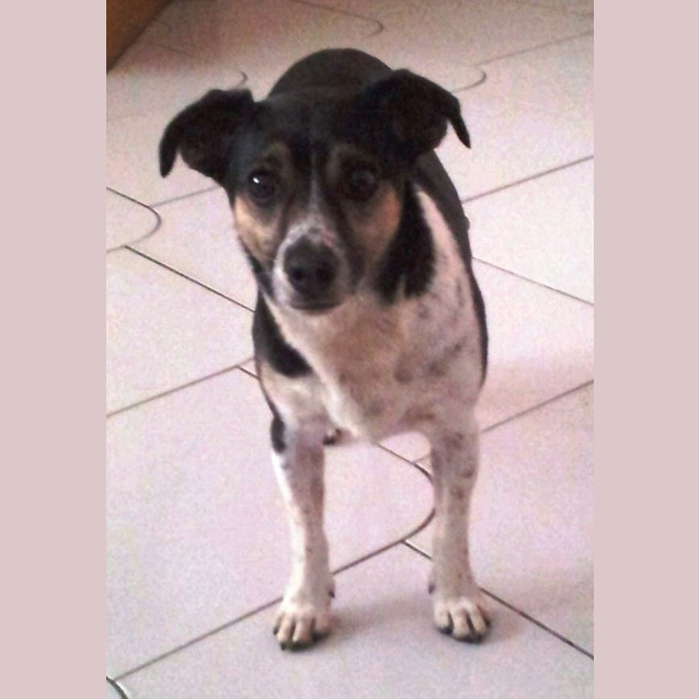 Photo of Rocko