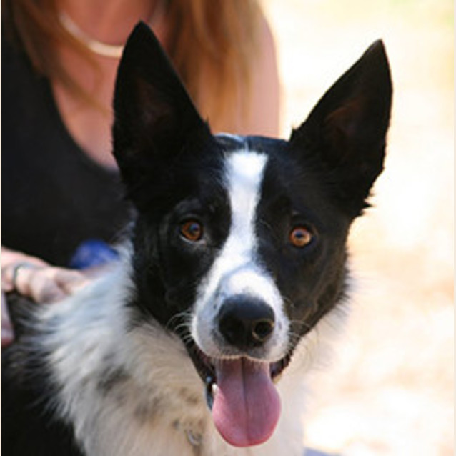 Photo of Sweetie