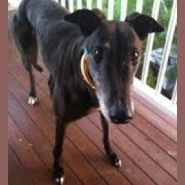 Photo of Leroy