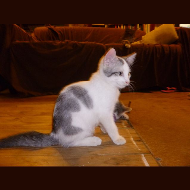 Photo of Lenny