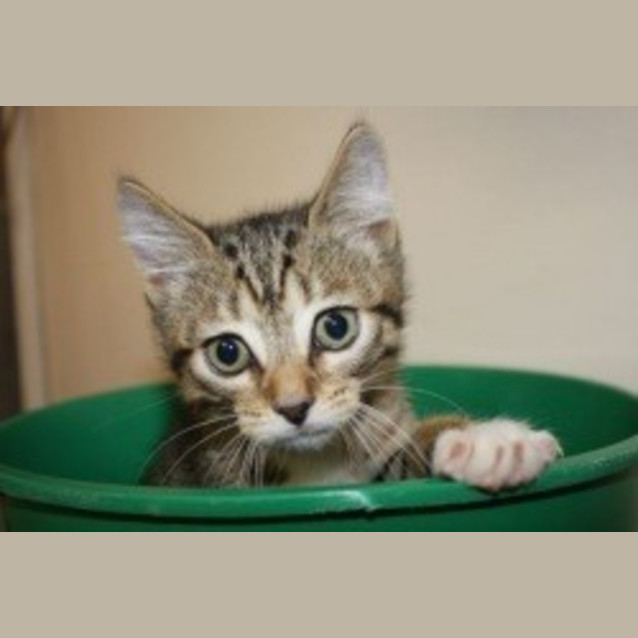 Photo of Timmy