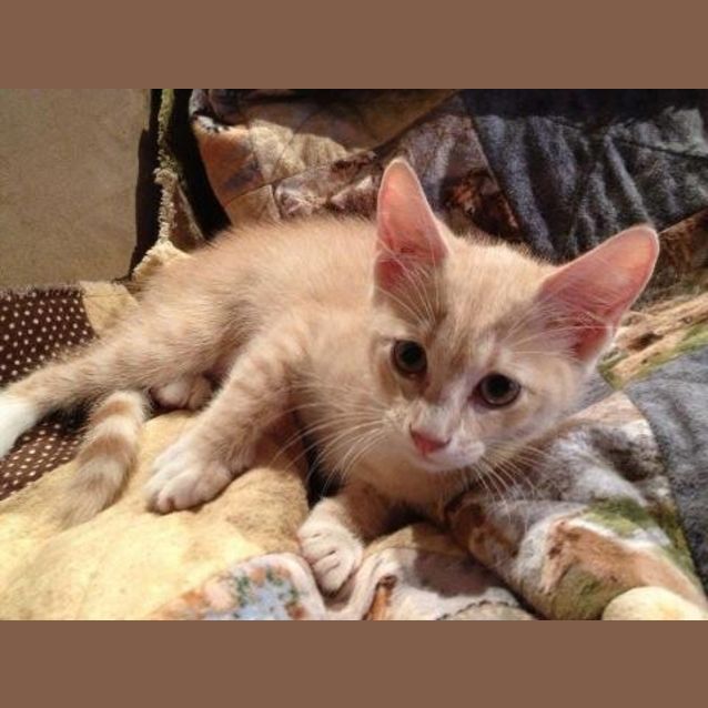 Photo of Tom
