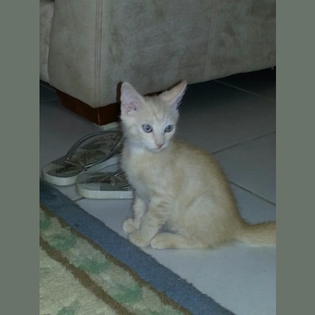 Photo of Kenji